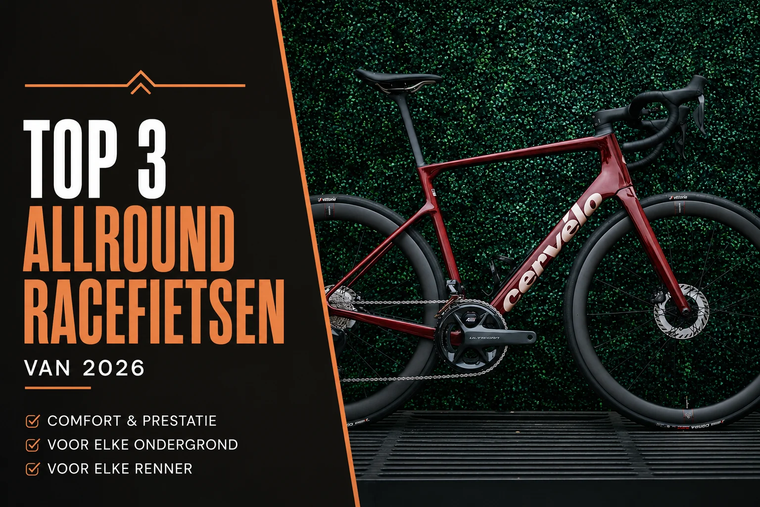 Top 3 allround fietsen 2026