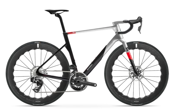 Basso_SV_Red_Sharq 57_RV
