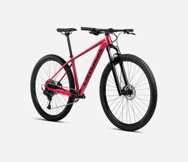 Orbea_Onna_Hardtail_Mountainbike_2