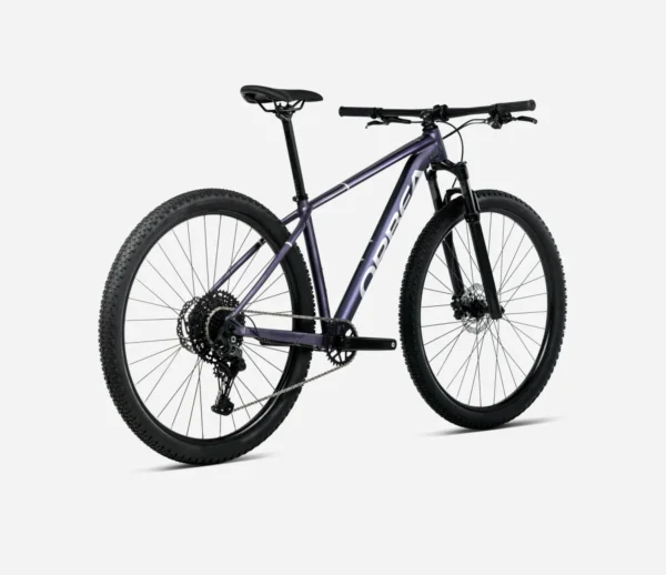 Orbea_Onna_Hardtail_Mountainbike_4
