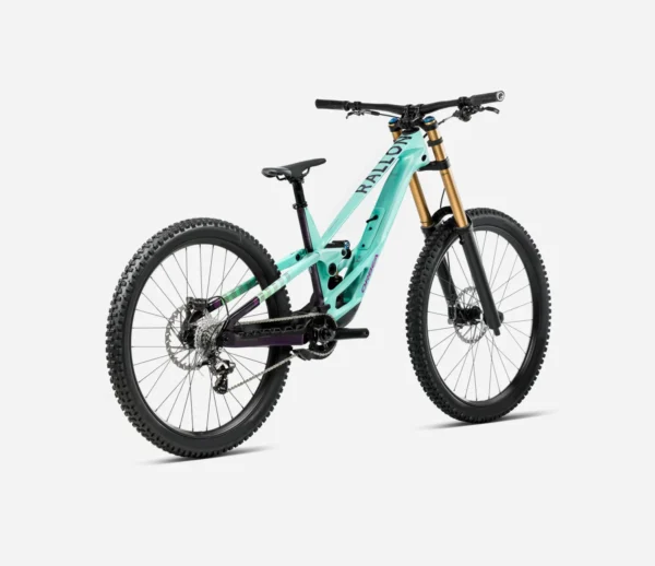 Orbea_Rallon_DH_Downhill_9