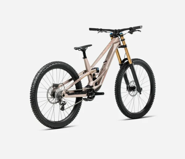 Orbea_Rallon_DH_Downhill_6