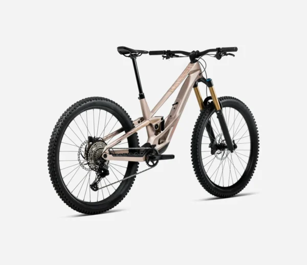Orbea_Rallon_Enduro_Mountainbike_2