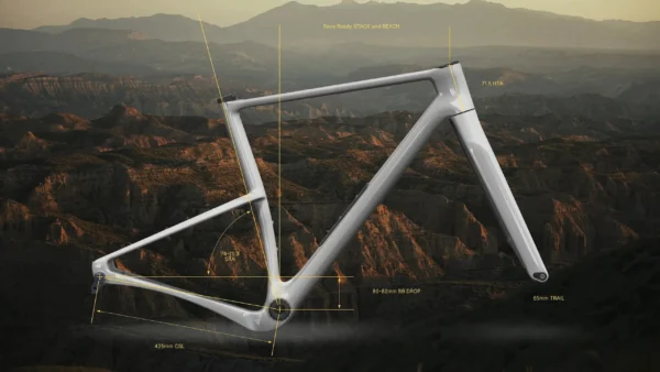 Factor-Sarana-Endurance-gravelbike-3