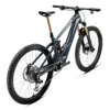 Orbea-Wild-TR-1