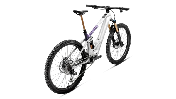 Orbea-Wild-TR-3