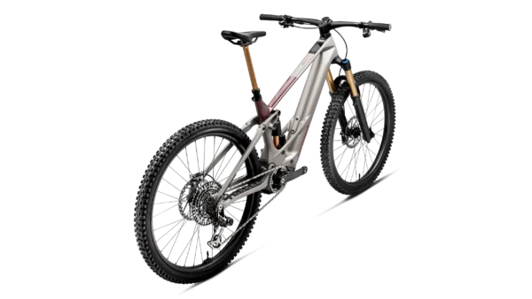 Orbea-Wild-TR-6