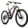 Orbea-Wild-TR-7